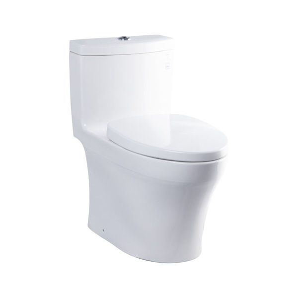 Ảnh của Bàn cầu nguyên khối cao cấp TOTO MS889DT3